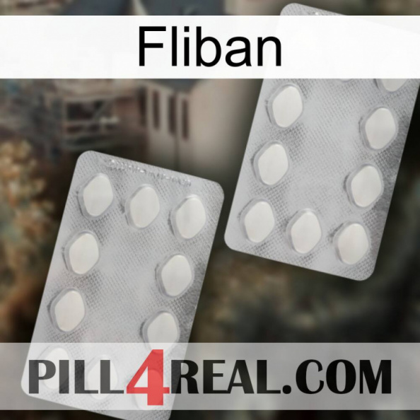 Fliban 17